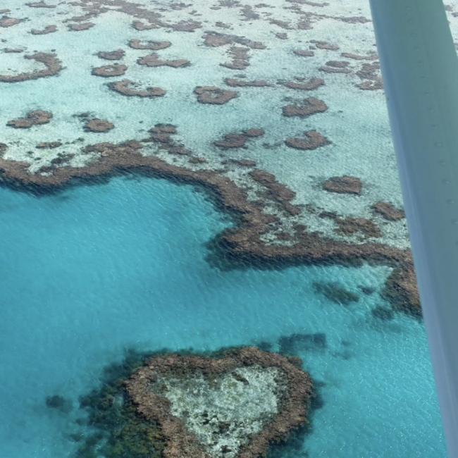 The Heart Reef - Helicopter Heart Reef & Whitehaven Scenic